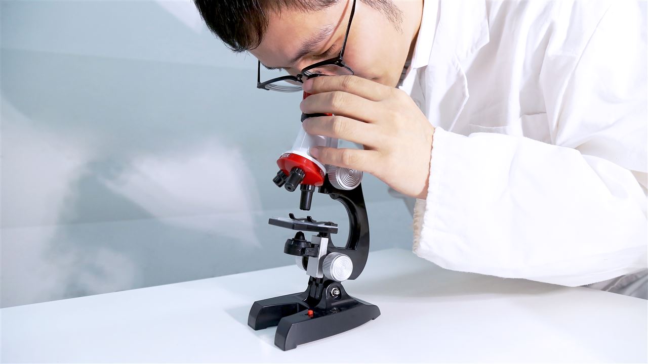 2025年我国团体标准转化国际标准实现新突破