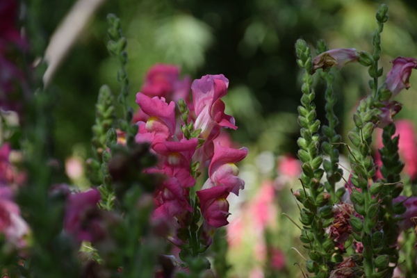 LETZero | 恰遇春分，环保材料重塑出行的绿色轨迹